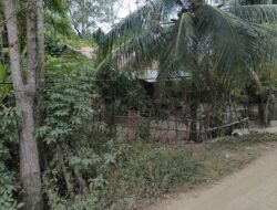 KABEL SR DI MEURAH KEC.SAMALANGA KAB.BIREUN DIBIARKAN TERTUTUP POHON LEBIH DARI SETAHUN, WARGA RESAH